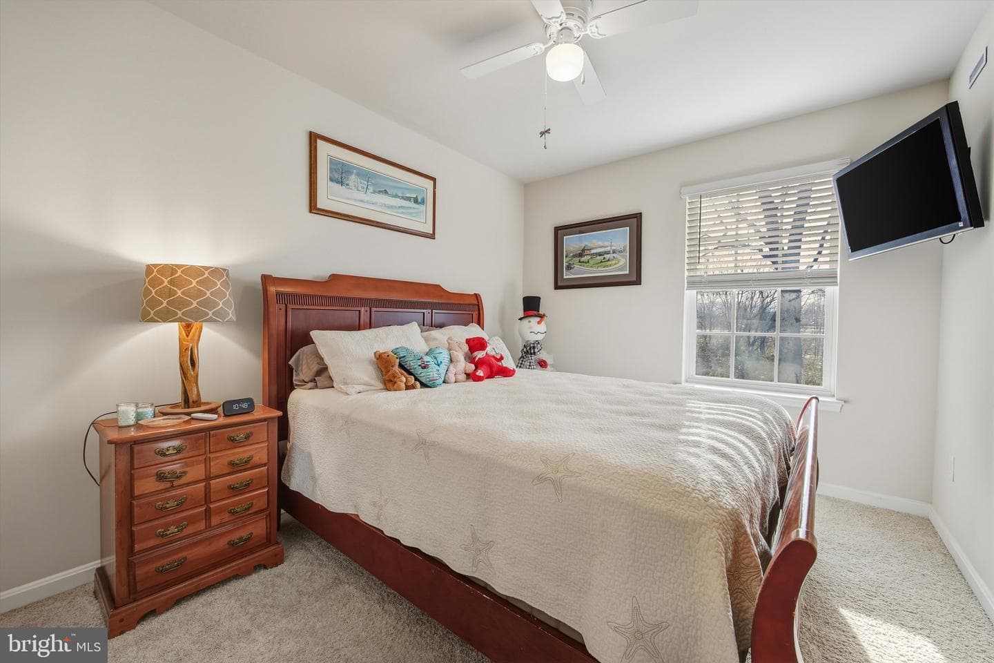 151 College Drive photo 21