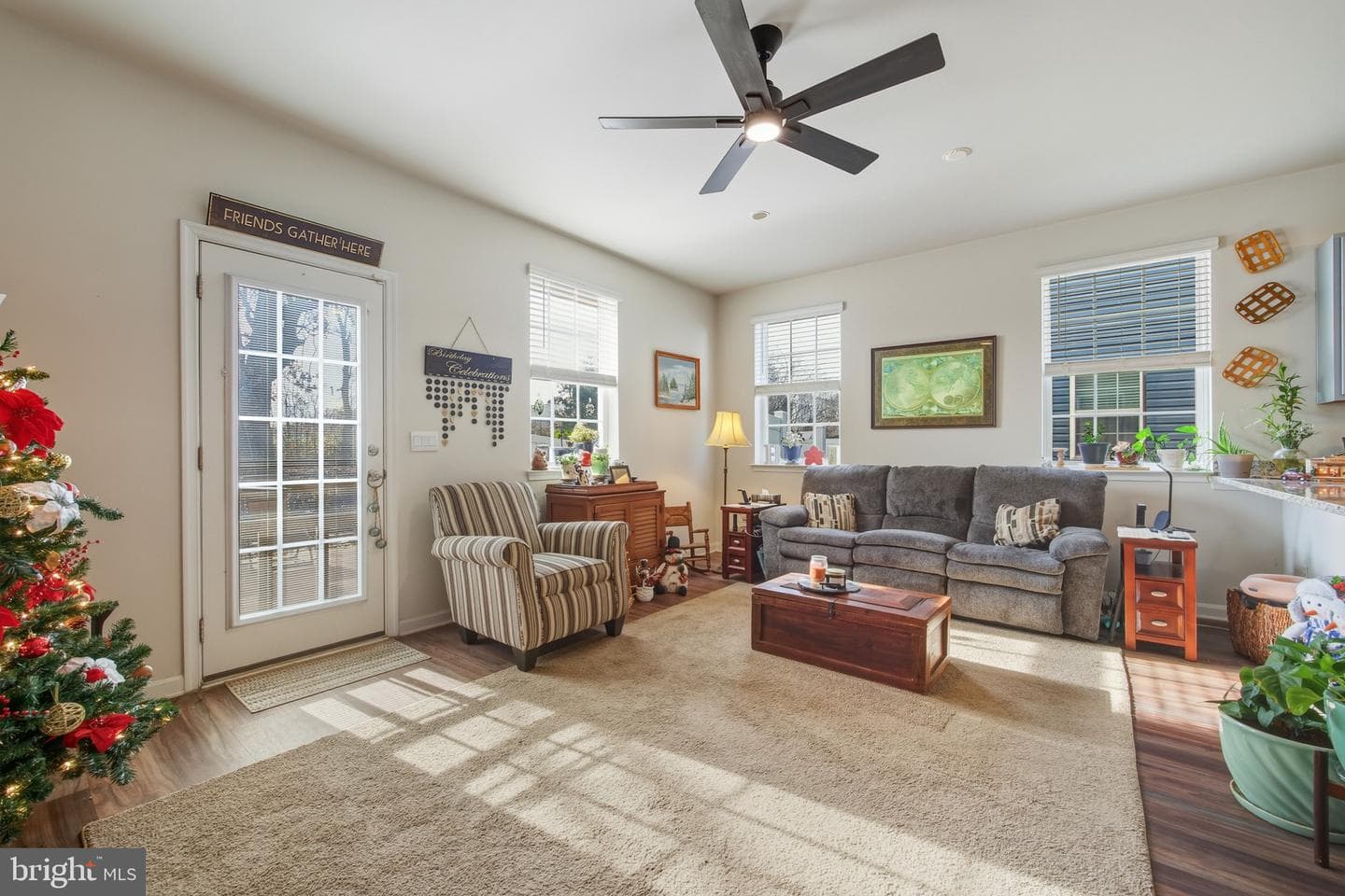 151 College Drive photo 3