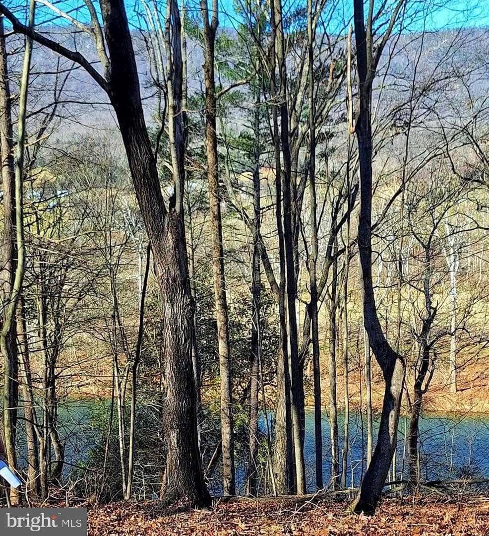 Lot10 Kauffmans Mill photo 4