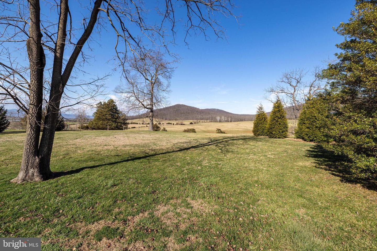 5329 Farmview Road photo 68
