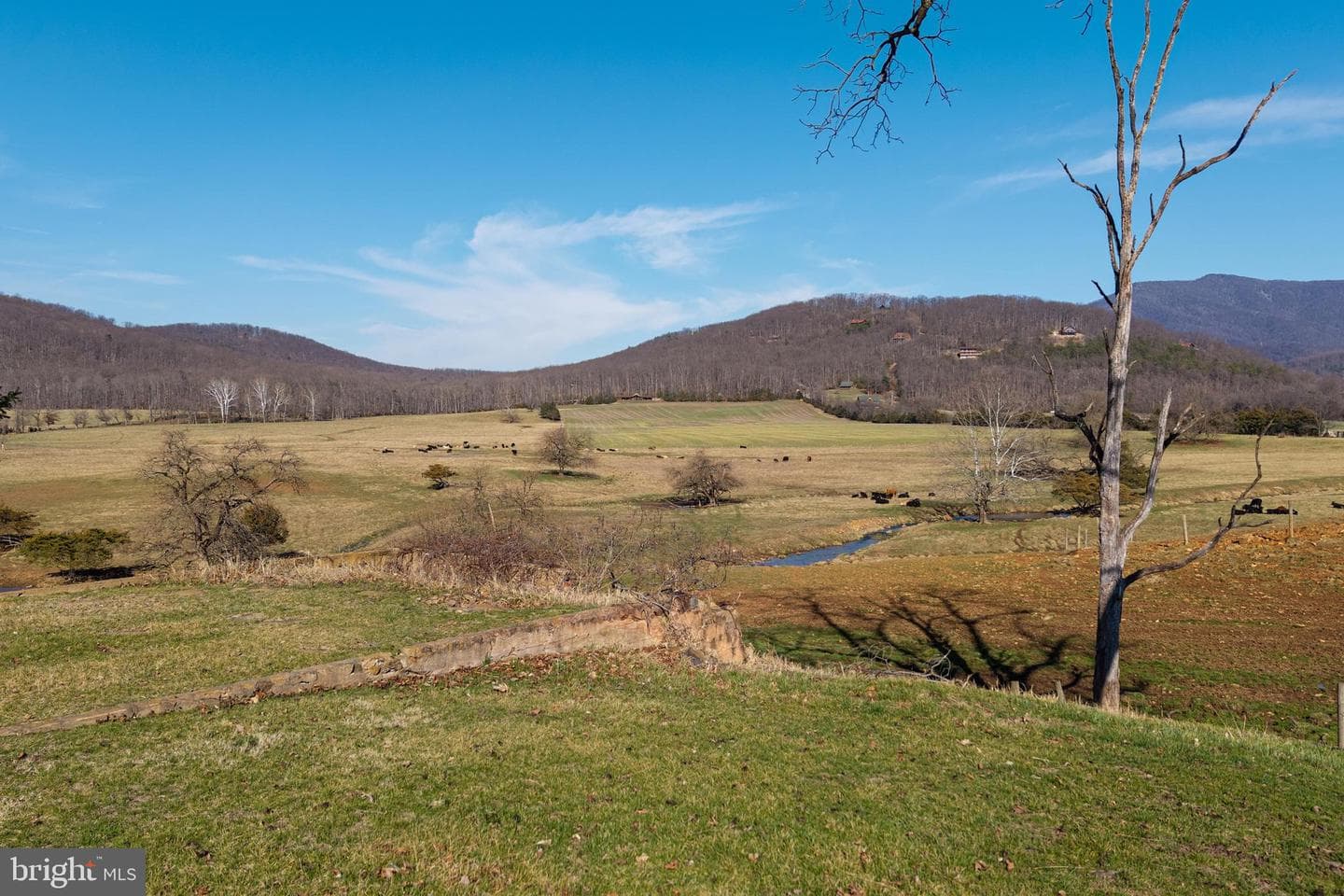 5329 Farmview Road photo 89