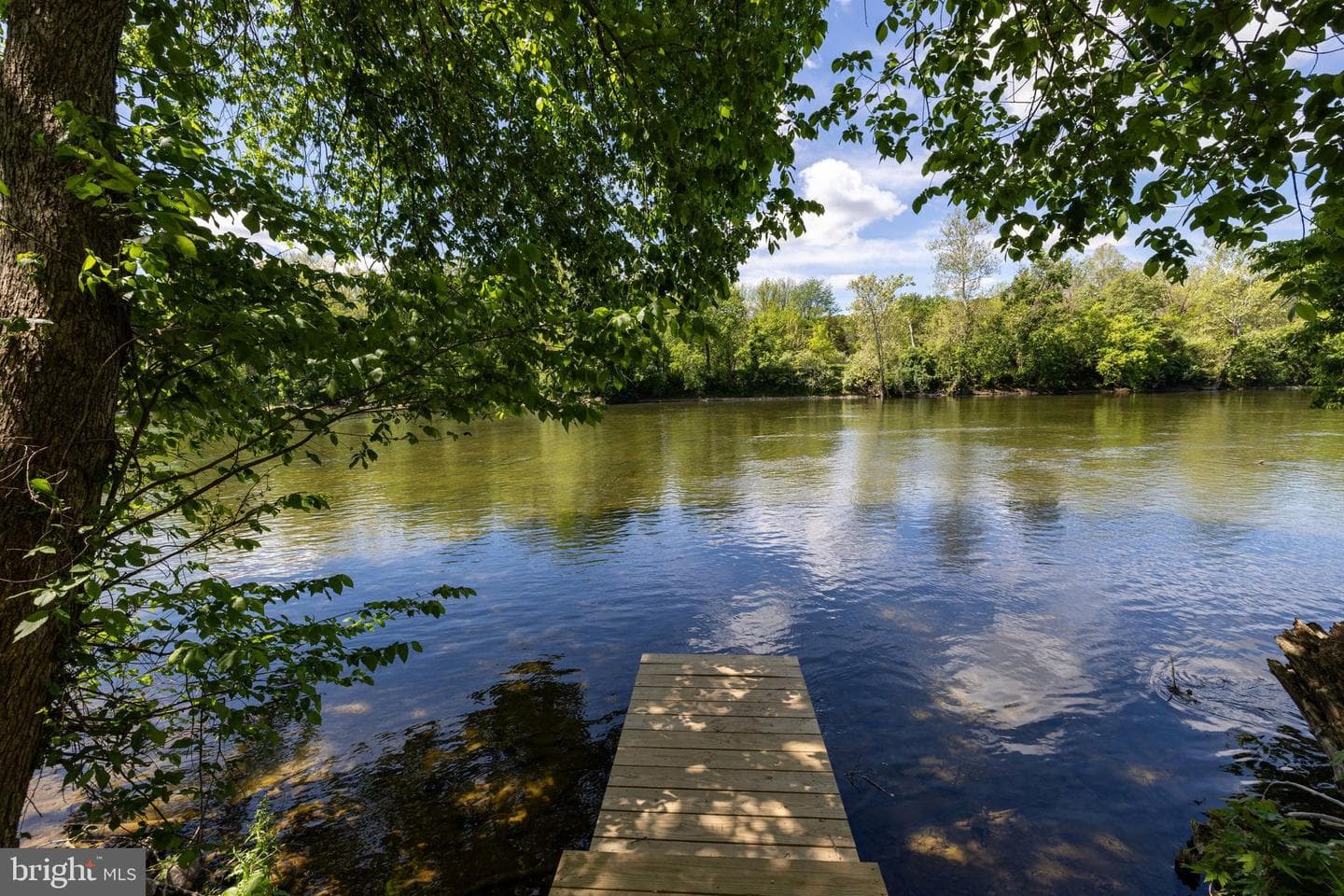1660 Canoe River Drive photo 12