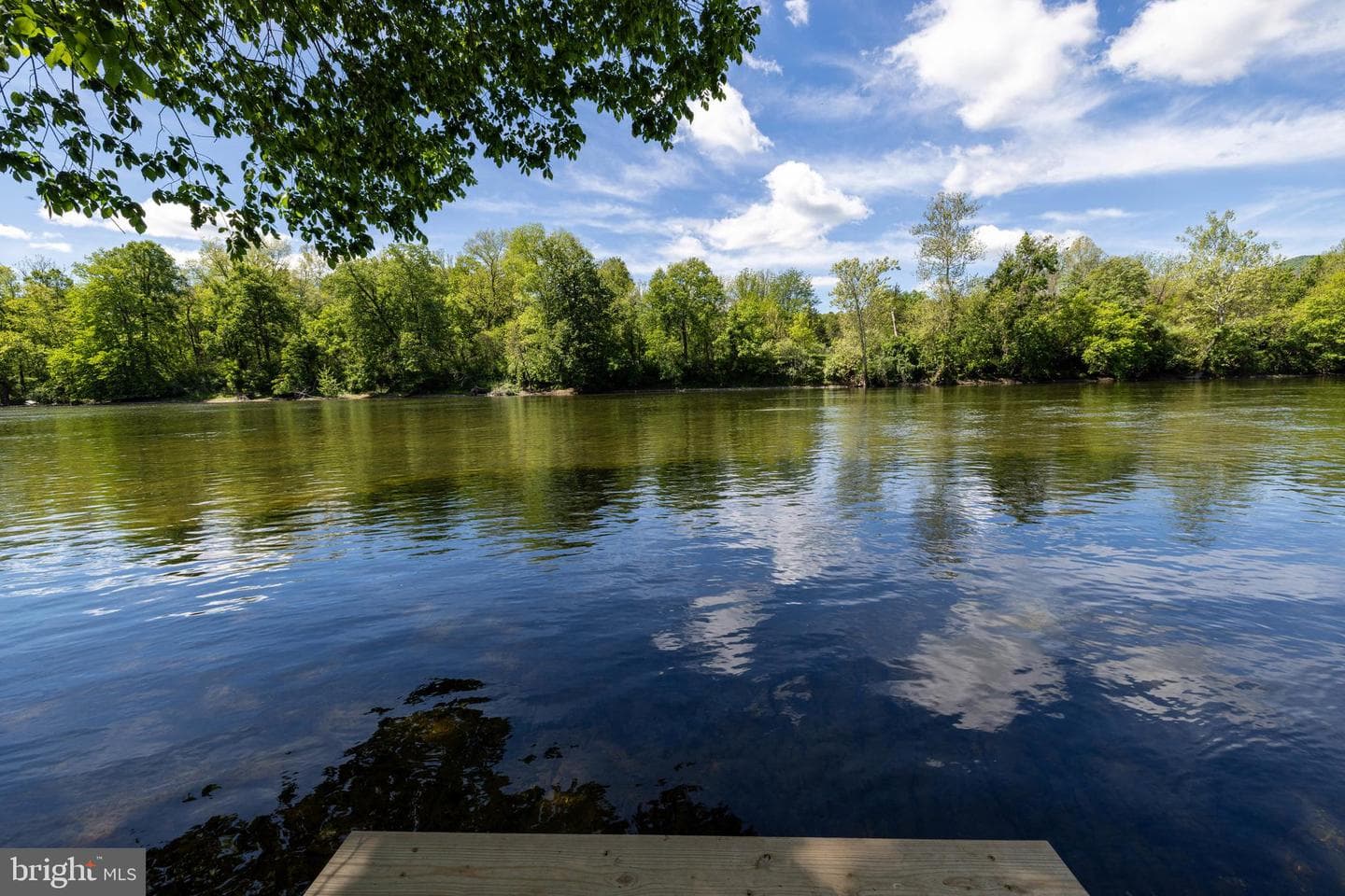 1660 Canoe River Drive photo 93