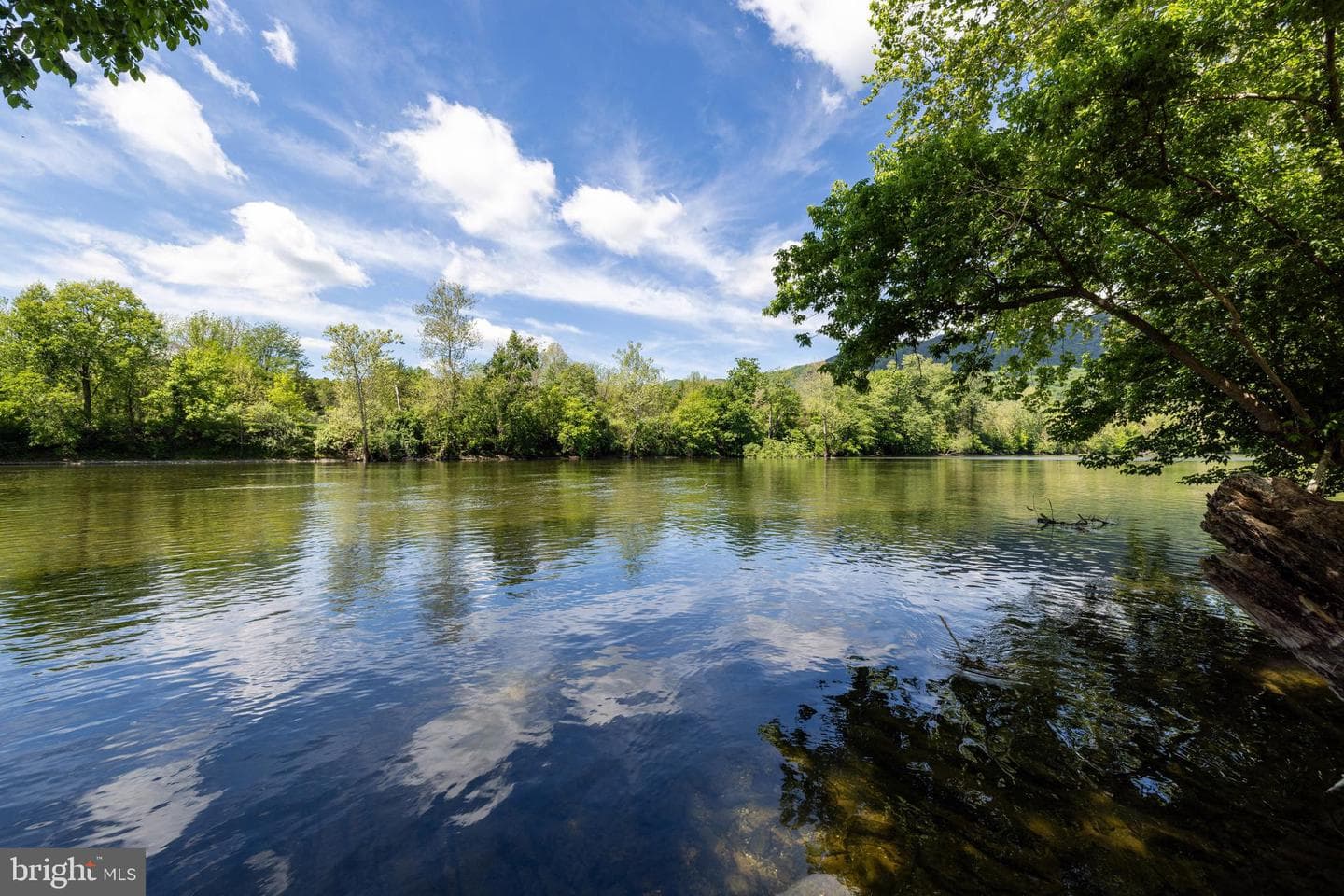 1660 Canoe River Drive photo 94