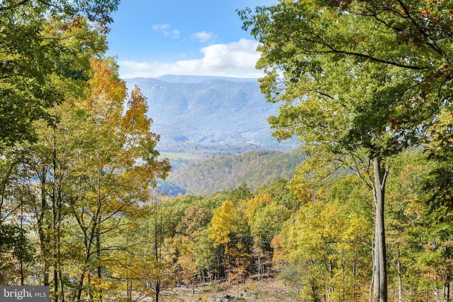 698 Valley View Road photo 49