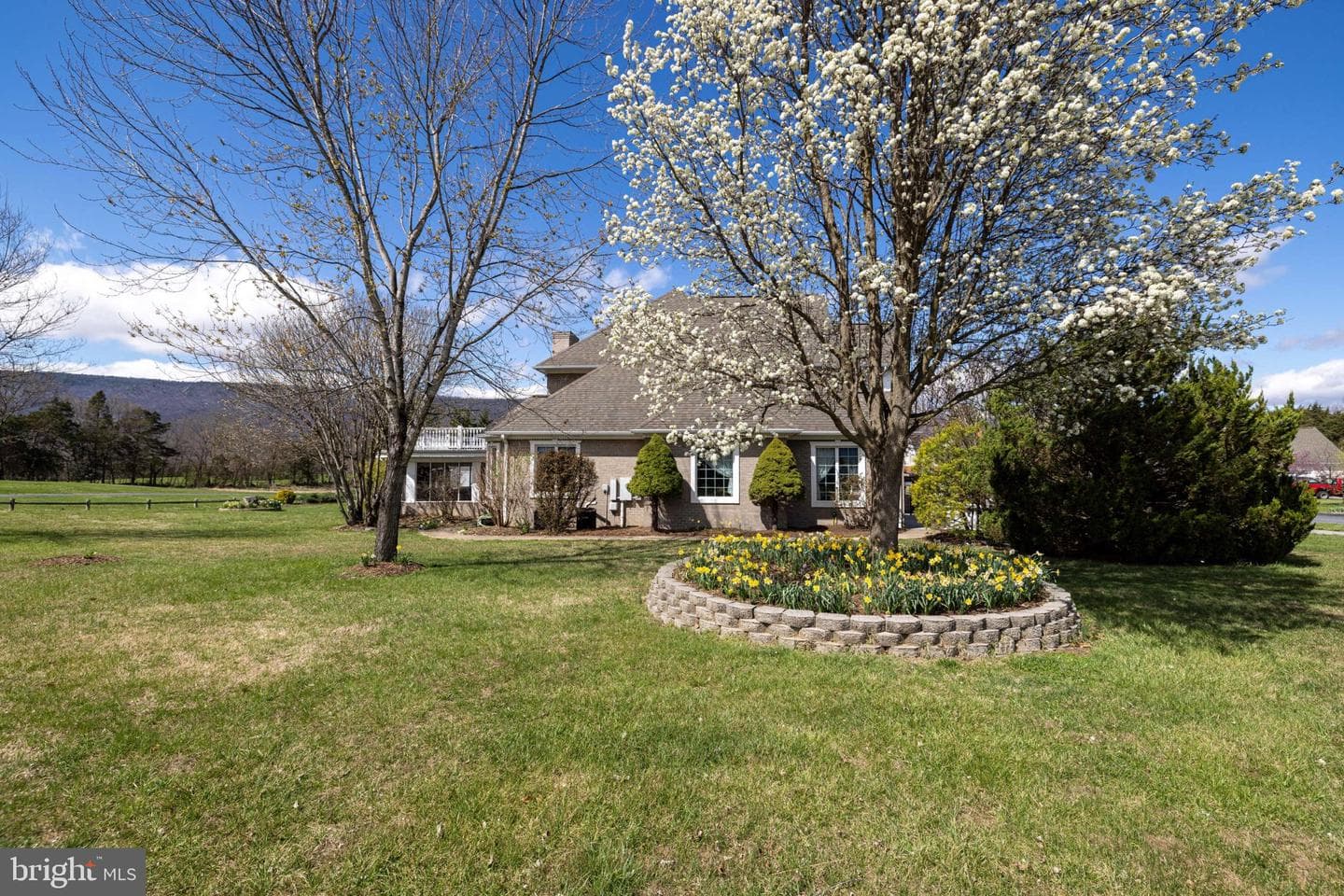 485 Beall Avenue photo 78
