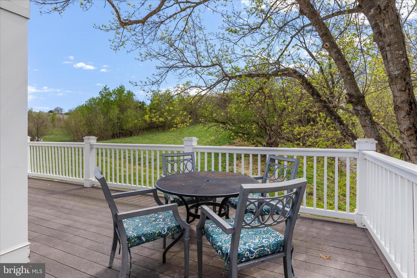315 Ganders Drive photo 49