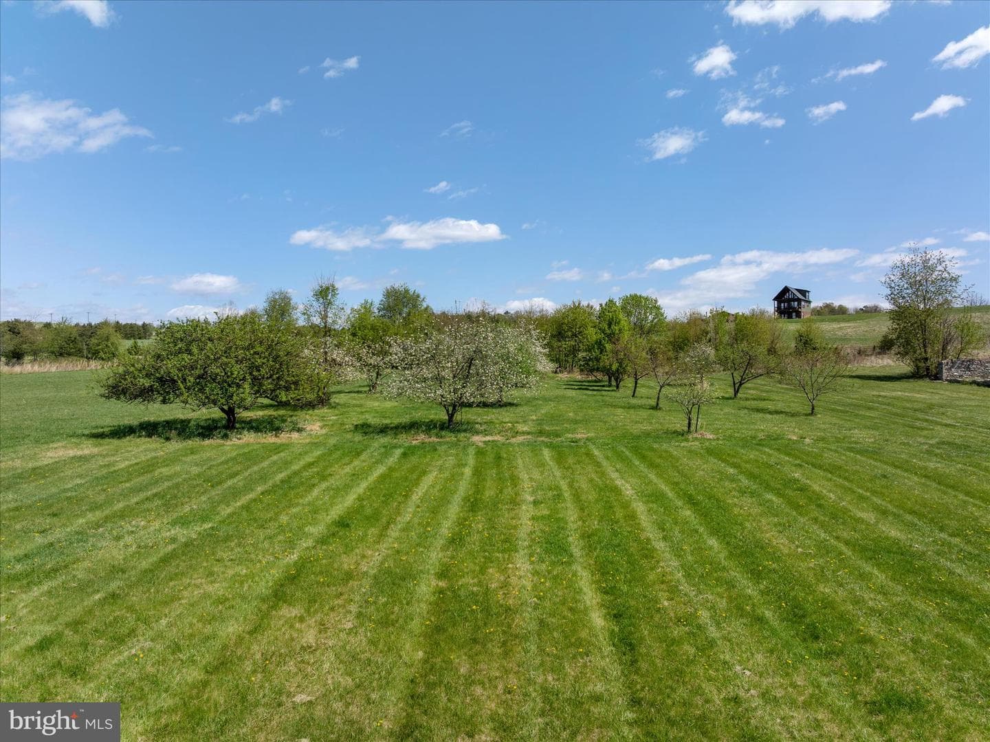 315 Ganders Drive photo 77