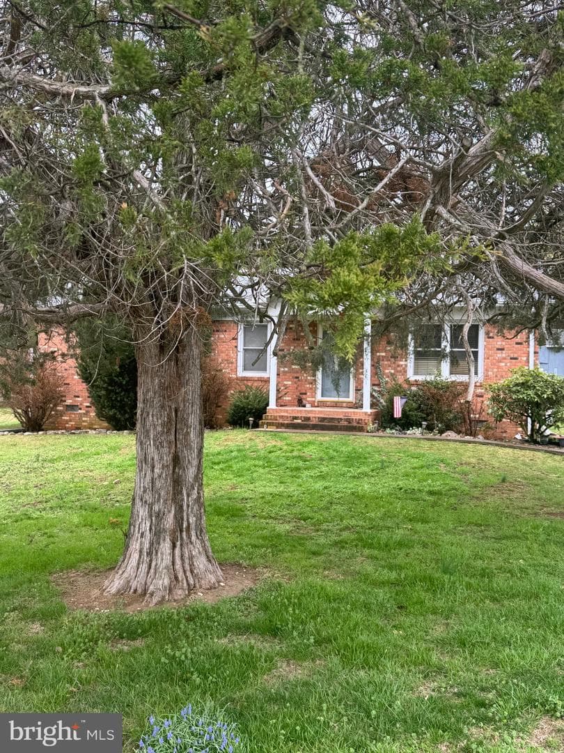 2 Massanutten Place photo 2