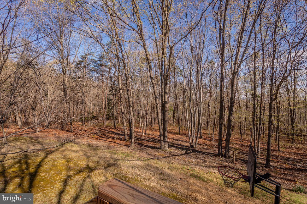160 Gale Lane photo 38