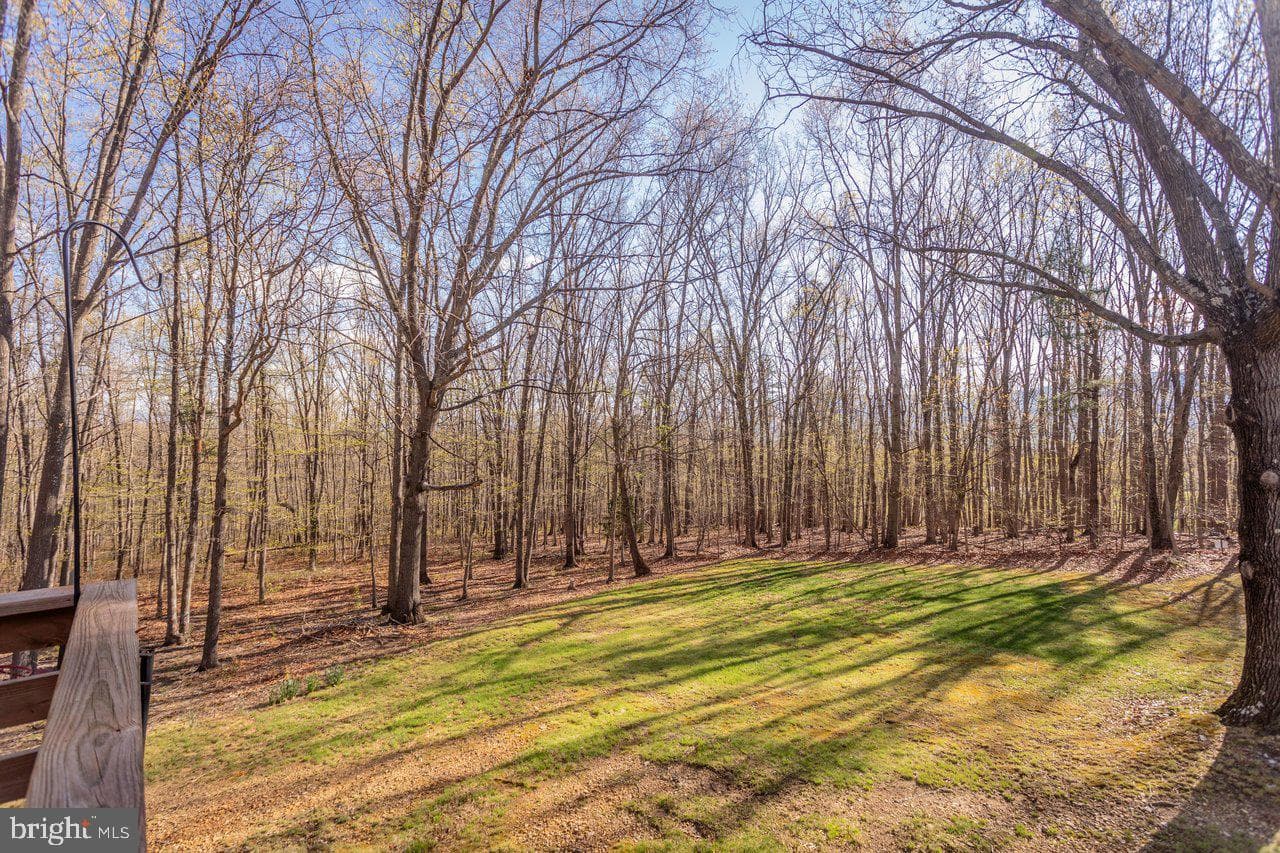 160 Gale Lane photo 39