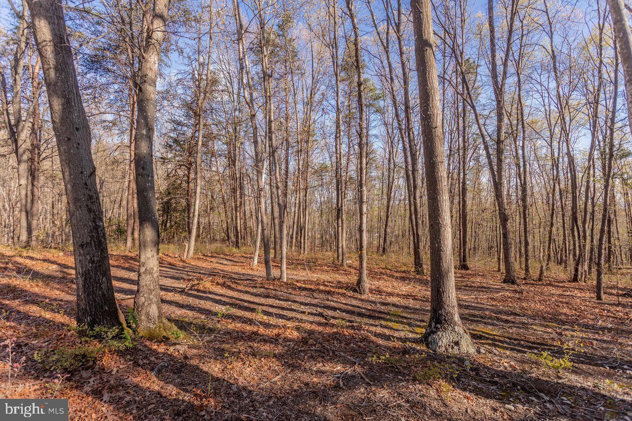 160 Gale Lane photo 49