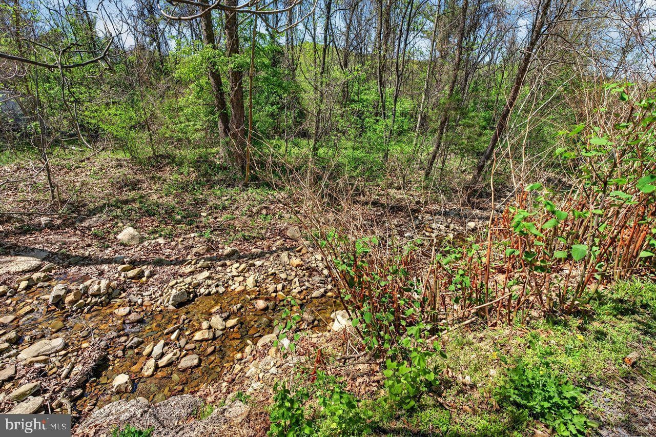 202 Lake Arrowhead Road photo 38