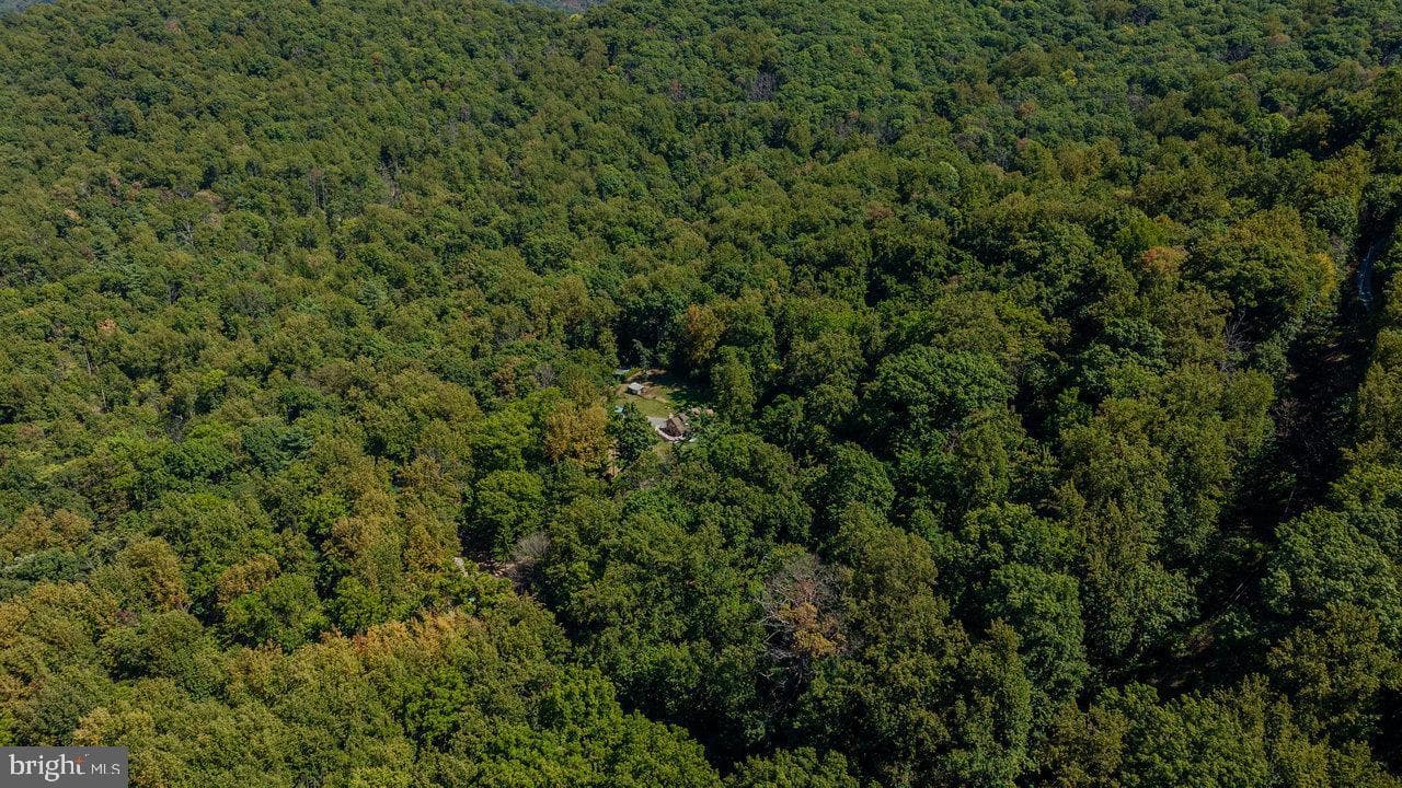 279 Helms Road photo 67