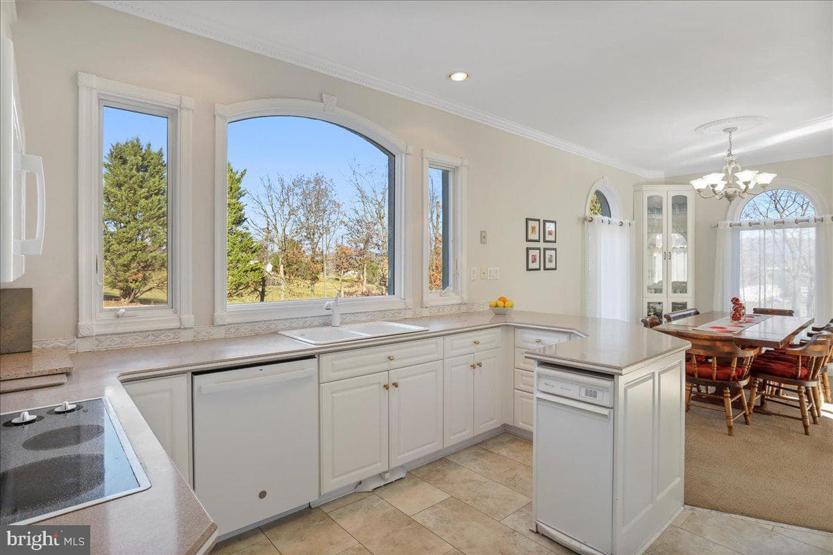 50 Cottage Drive photo 11