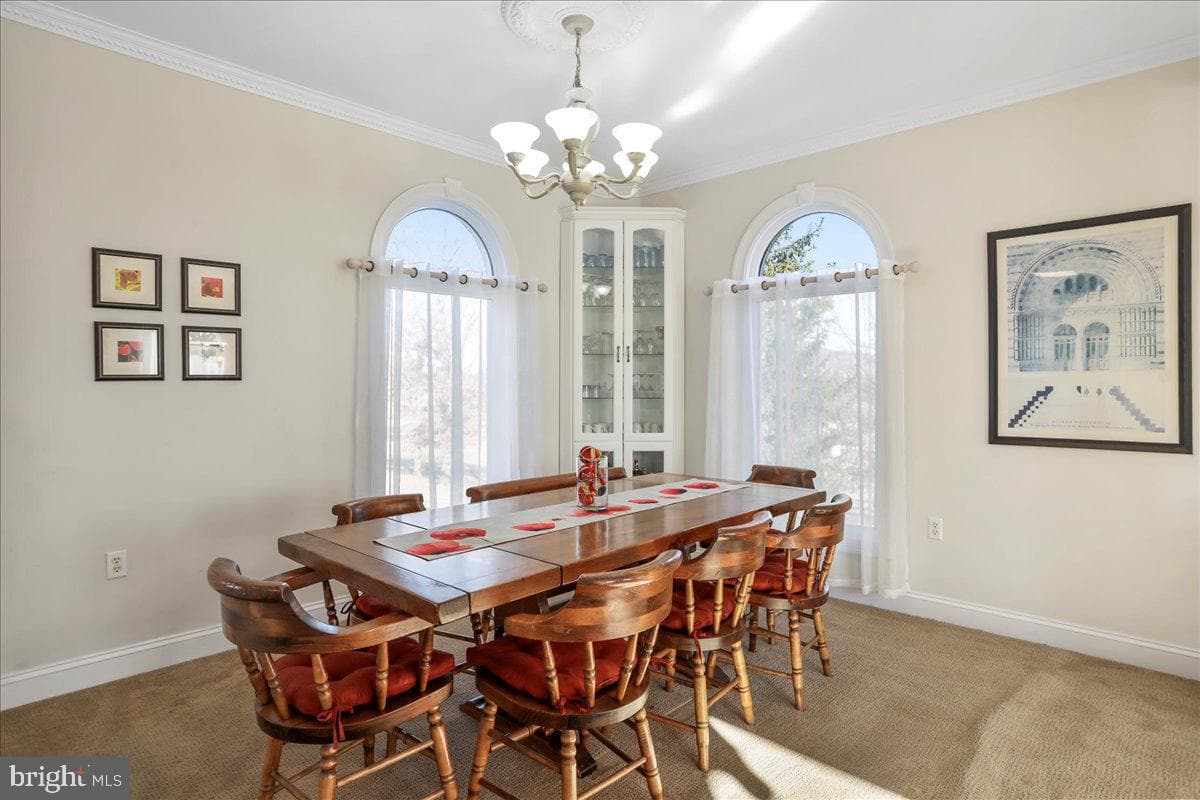 50 Cottage Drive photo 13