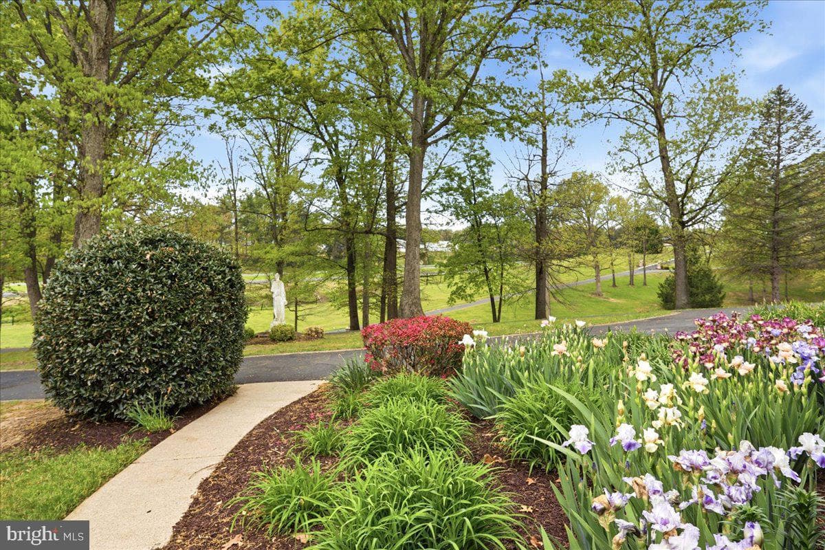 50 Cottage Drive photo 3