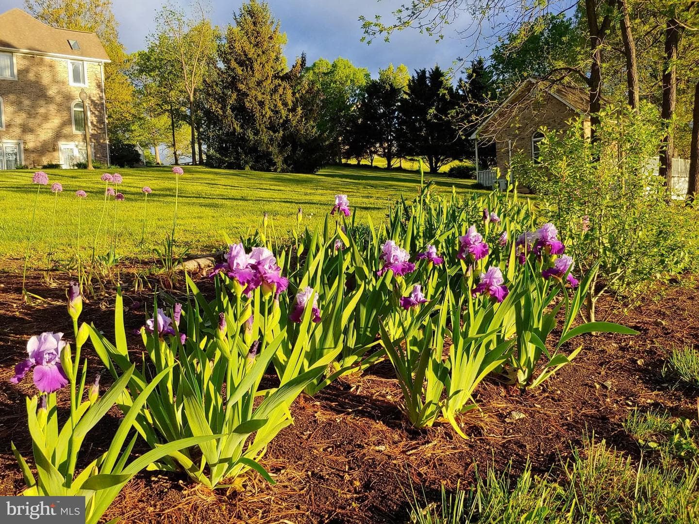 50 Cottage Drive photo 48