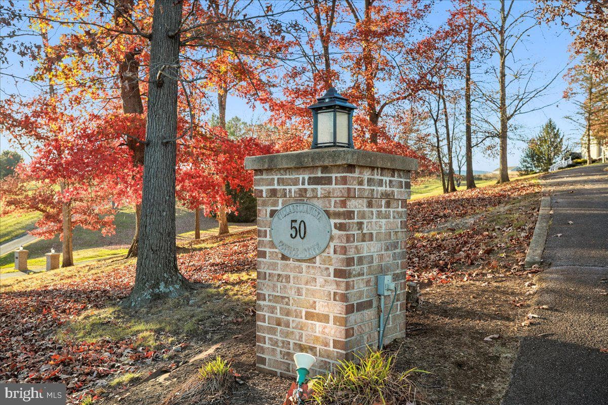 50 Cottage Drive photo 72