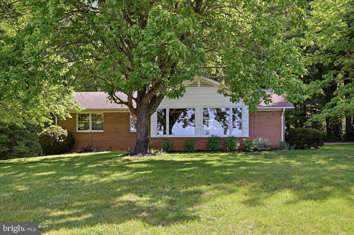 338 Springfield Estates Drive photo 61