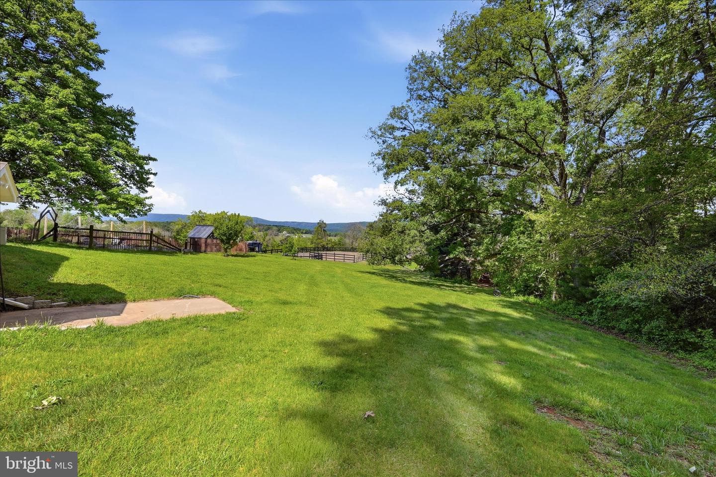 338 Springfield Estates Drive photo 62