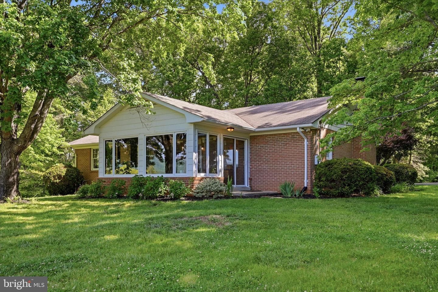 338 Springfield Estates Drive photo 63