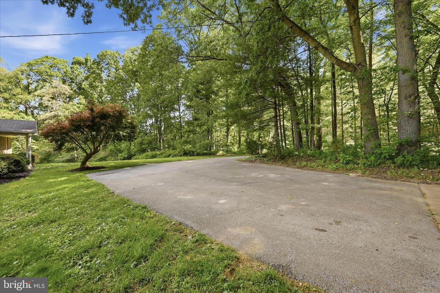 338 Springfield Estates Drive photo 66