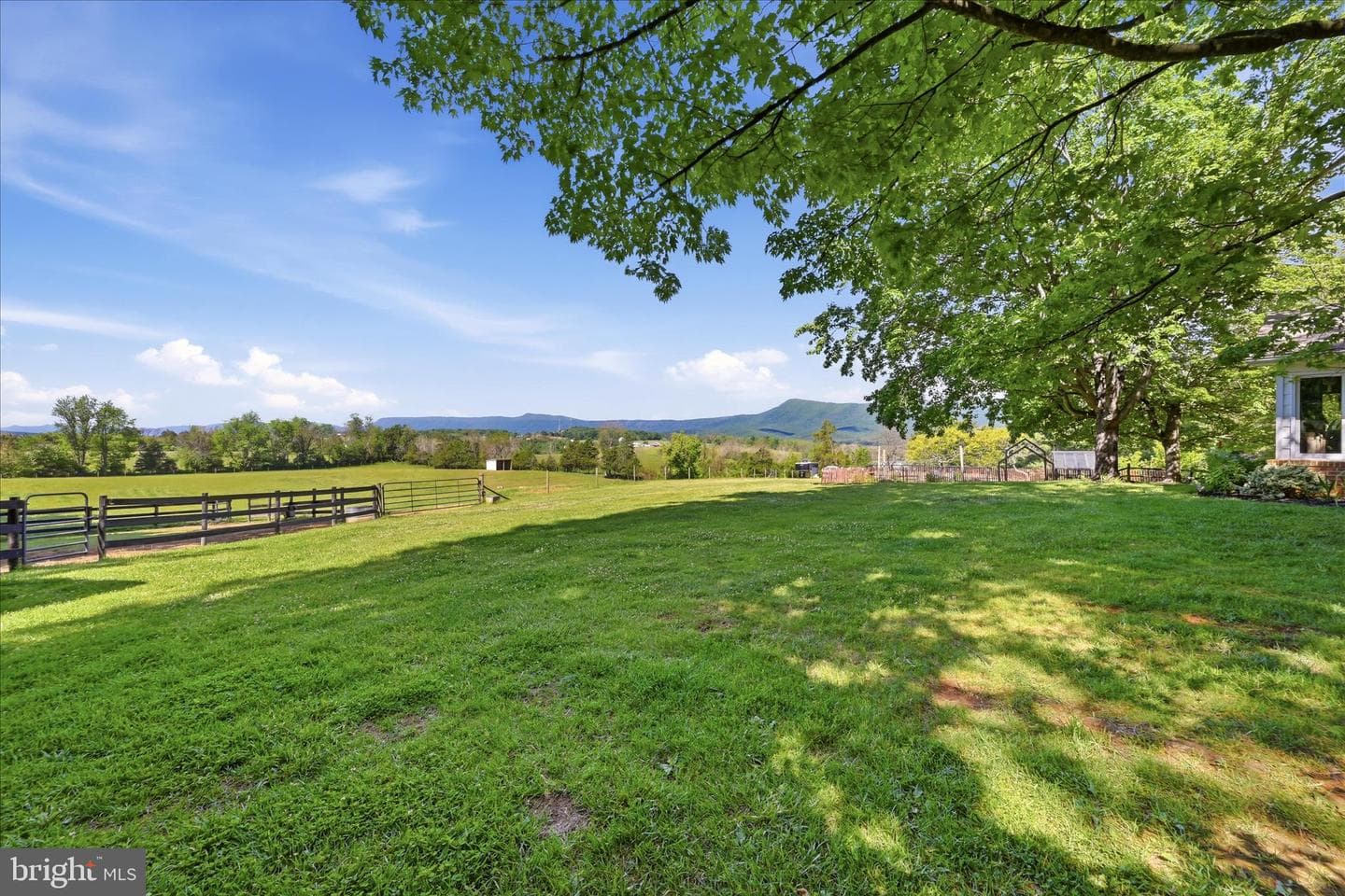 338 Springfield Estates Drive photo 68