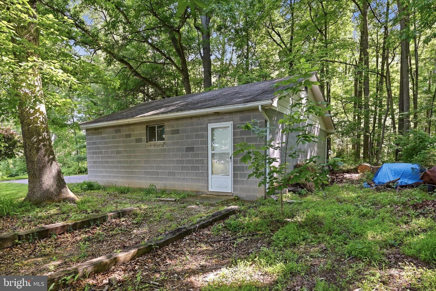 338 Springfield Estates Drive photo 70