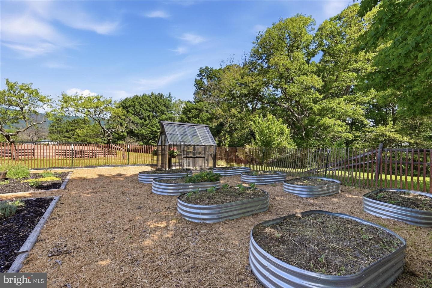 338 Springfield Estates Drive photo 88