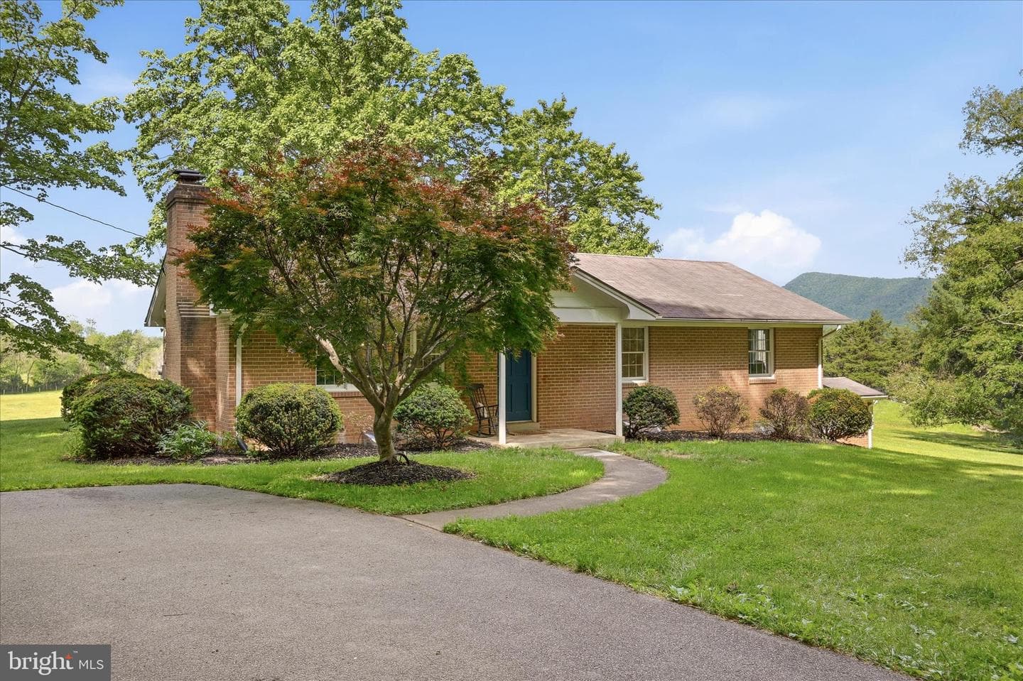 338 Springfield Estates Drive photo 9