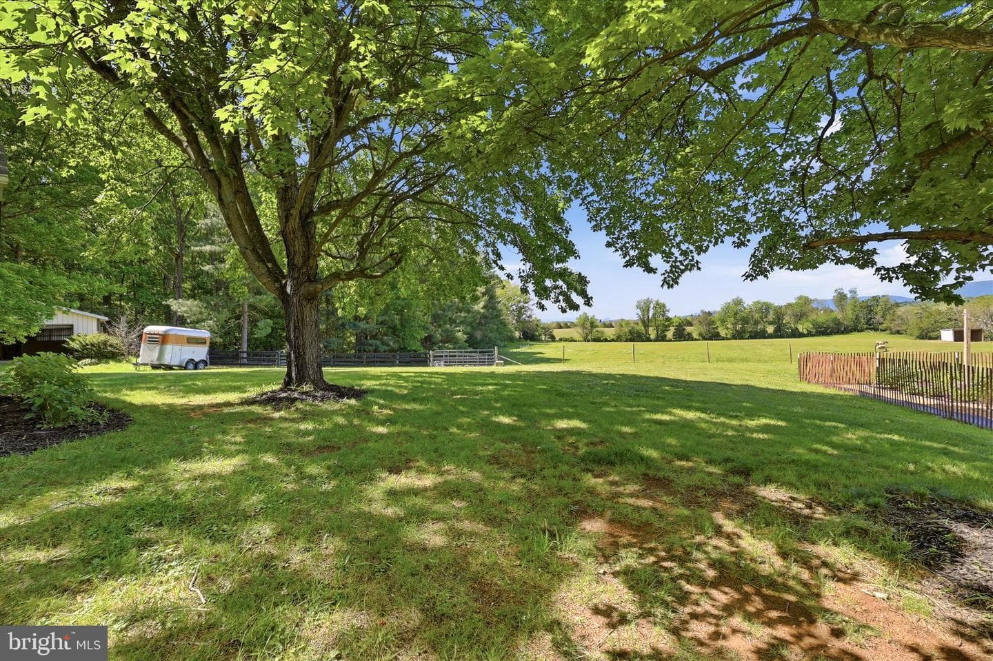 338 Springfield Estates Drive photo 94