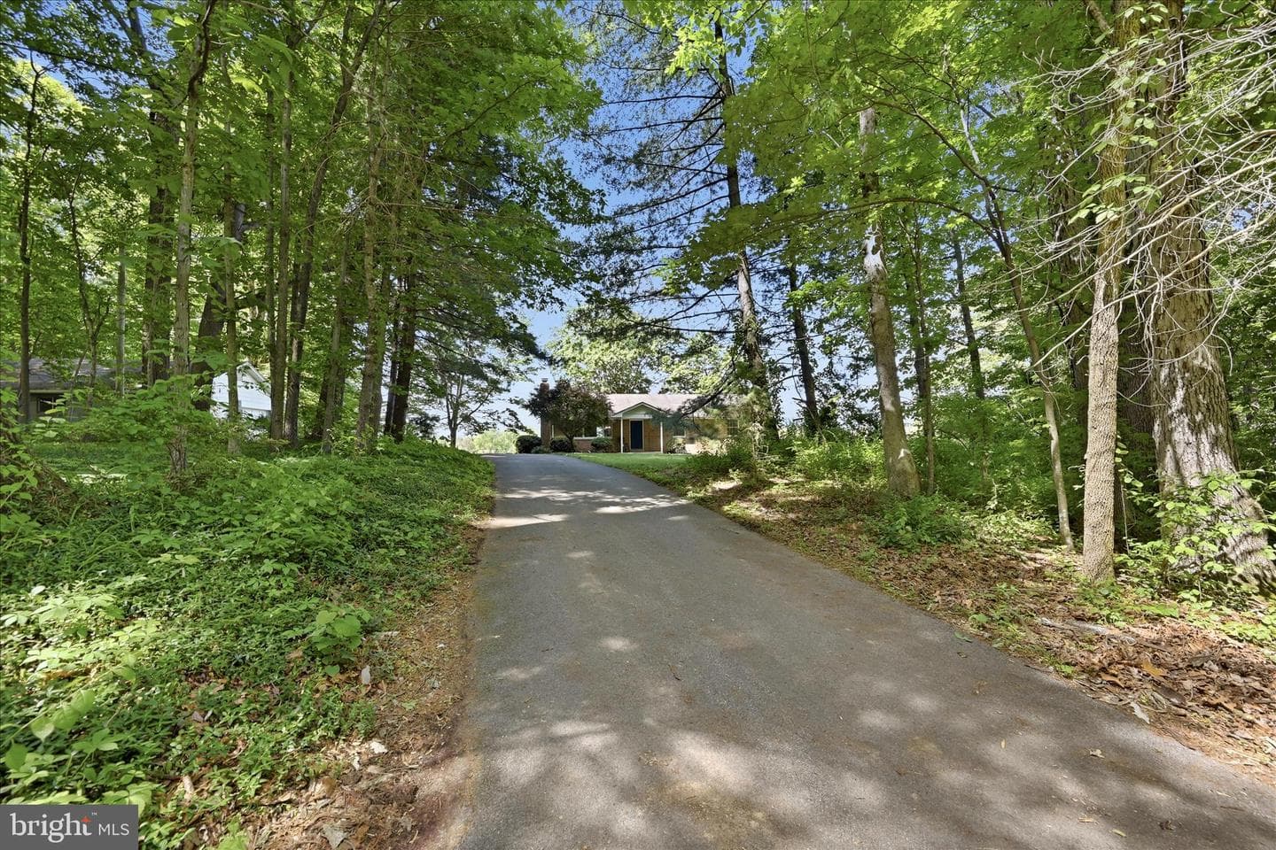 338 Springfield Estates Drive photo 98
