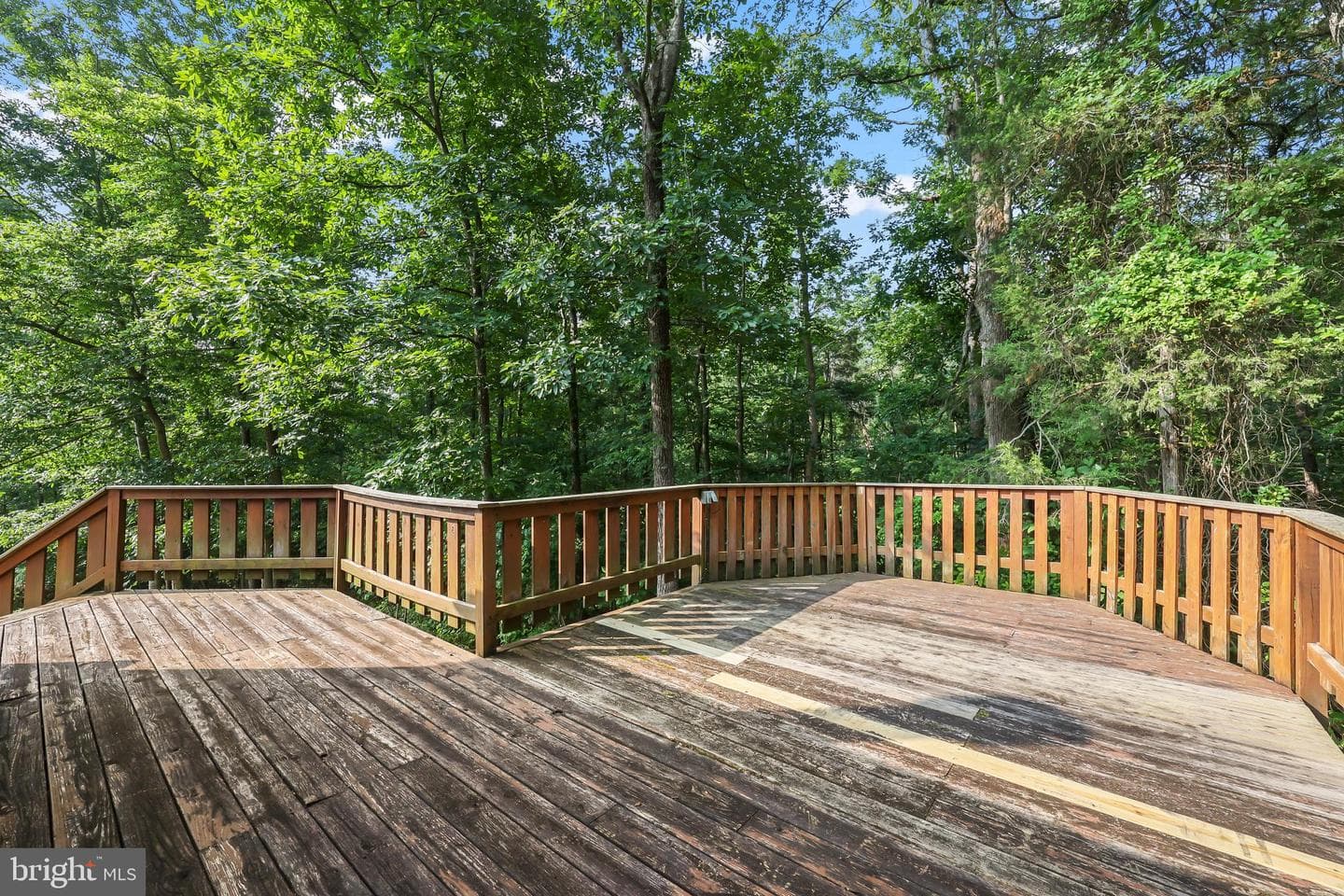 173 Meadow Road photo 22