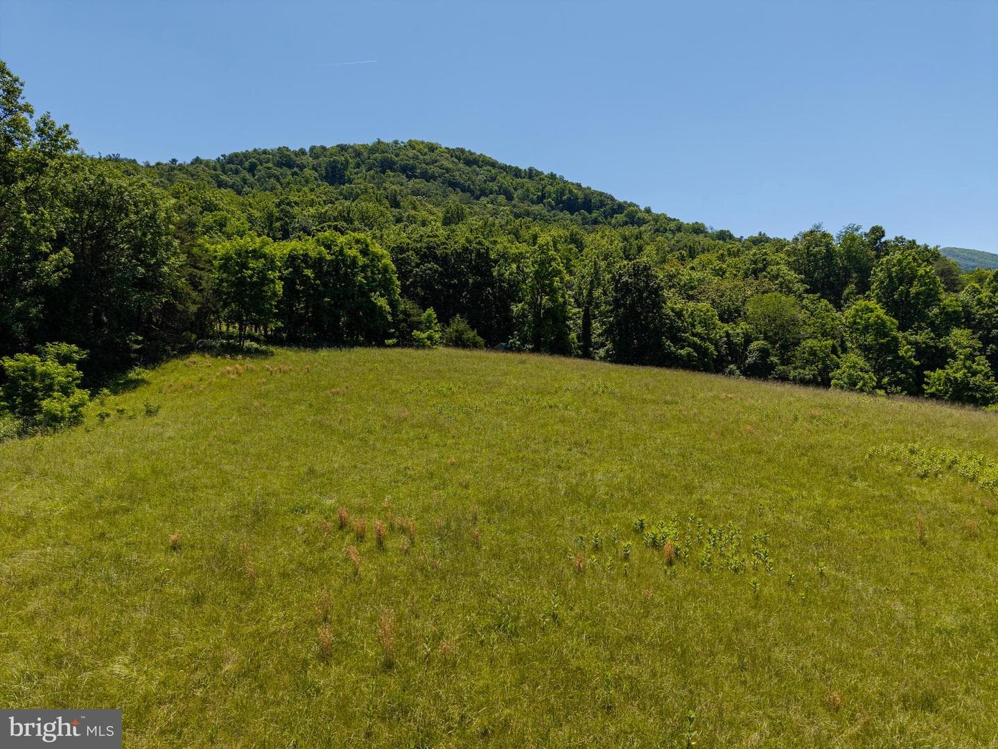 3259 Ida Road photo 119