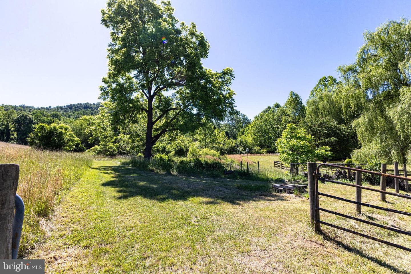3259 Ida Road photo 120