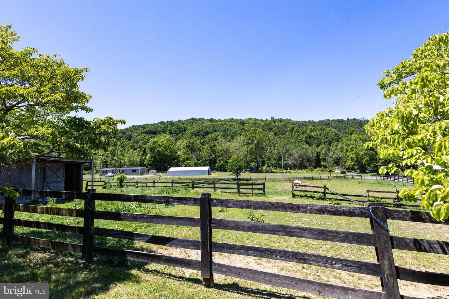 3259 Ida Road photo 129