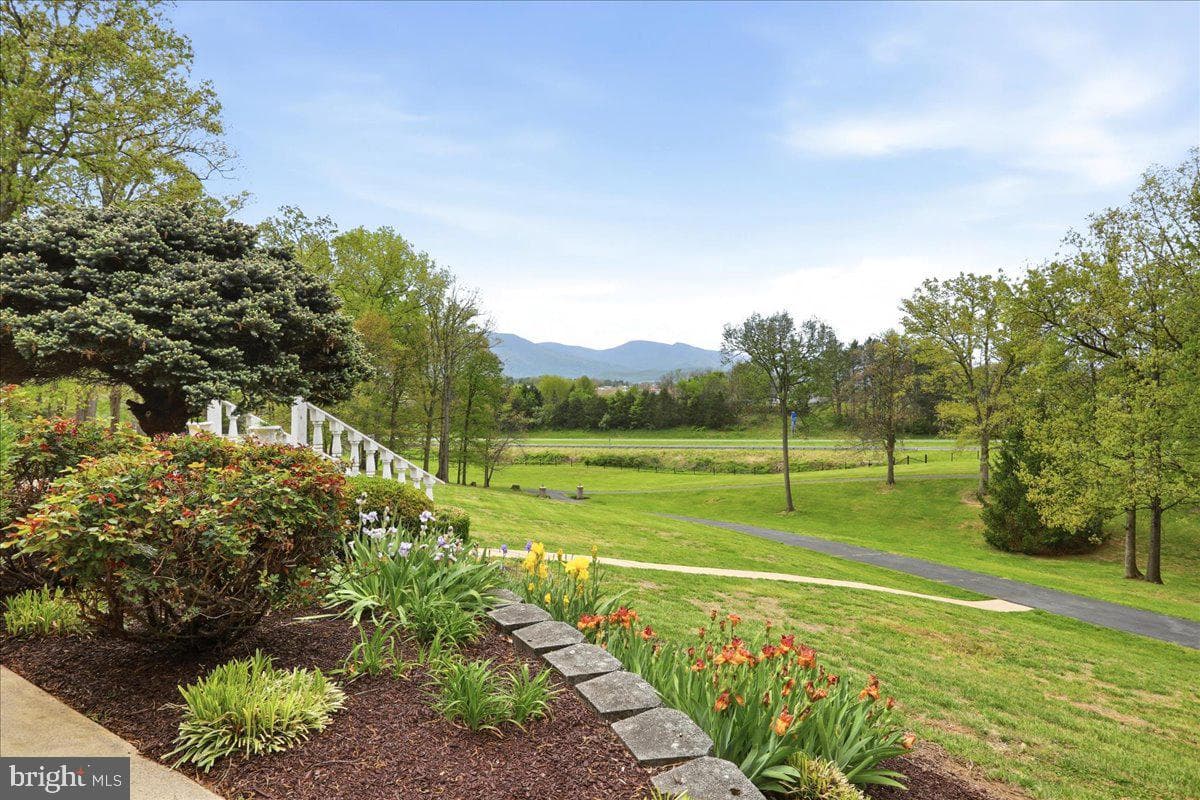 100 Cottage Drive, Luray