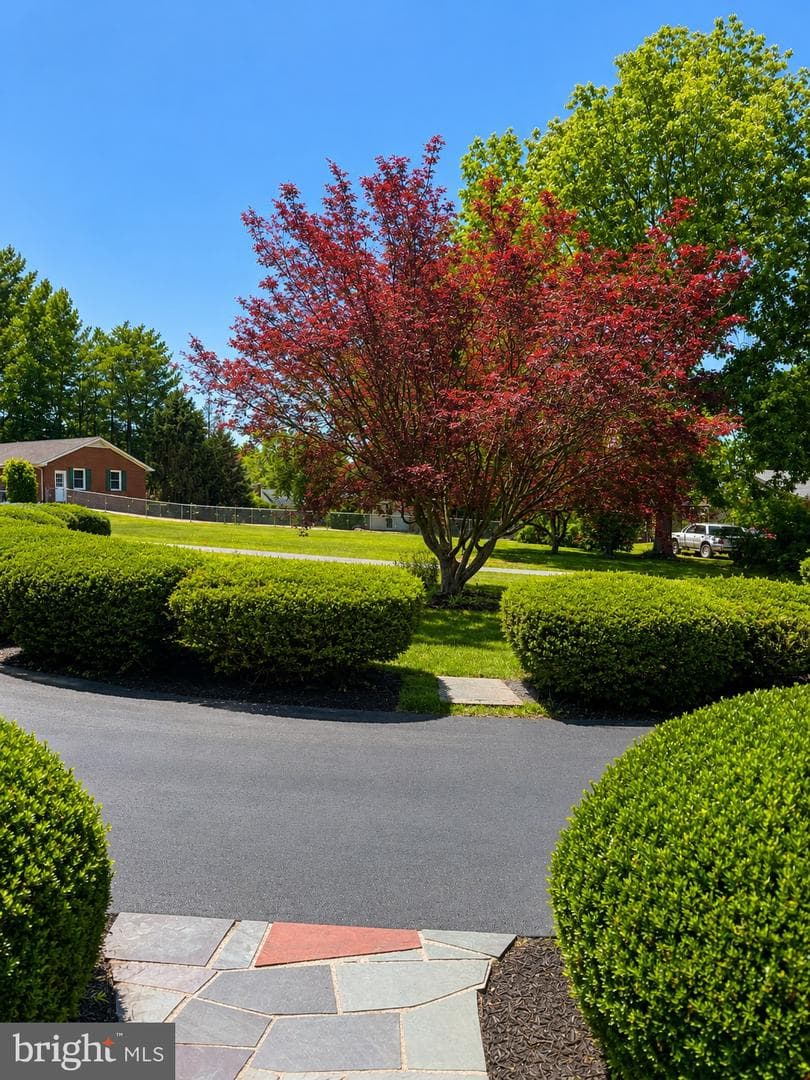 368 Old Farm Road photo 21