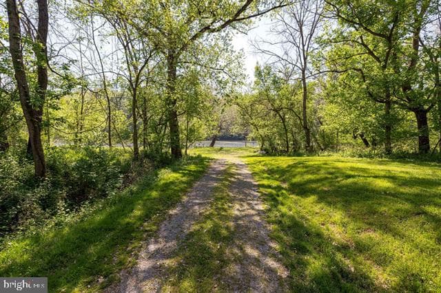 702 Richview Road photo 62