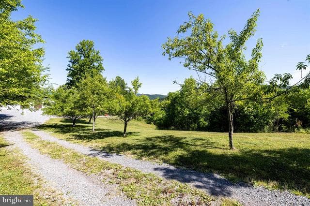 5855 Jollett Rd photo 50