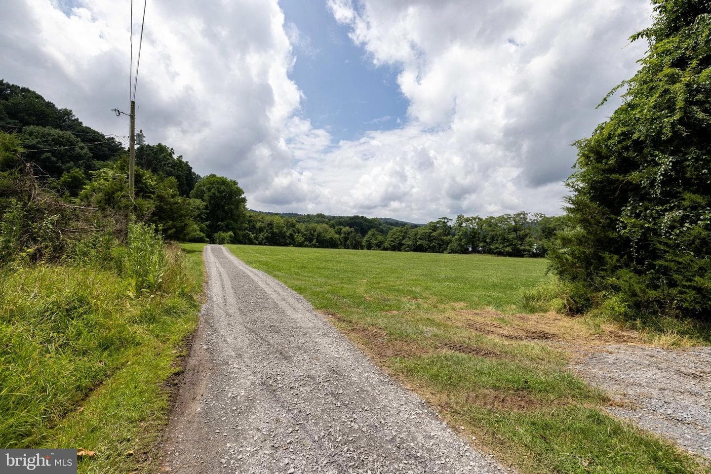 3827 Pine Grove Road photo 51
