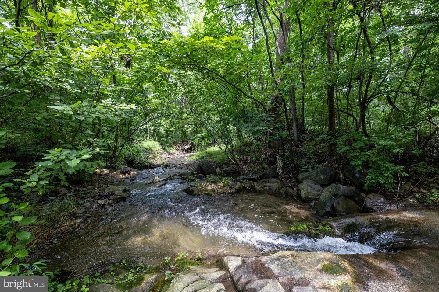 3827 Pine Grove Road photo 54