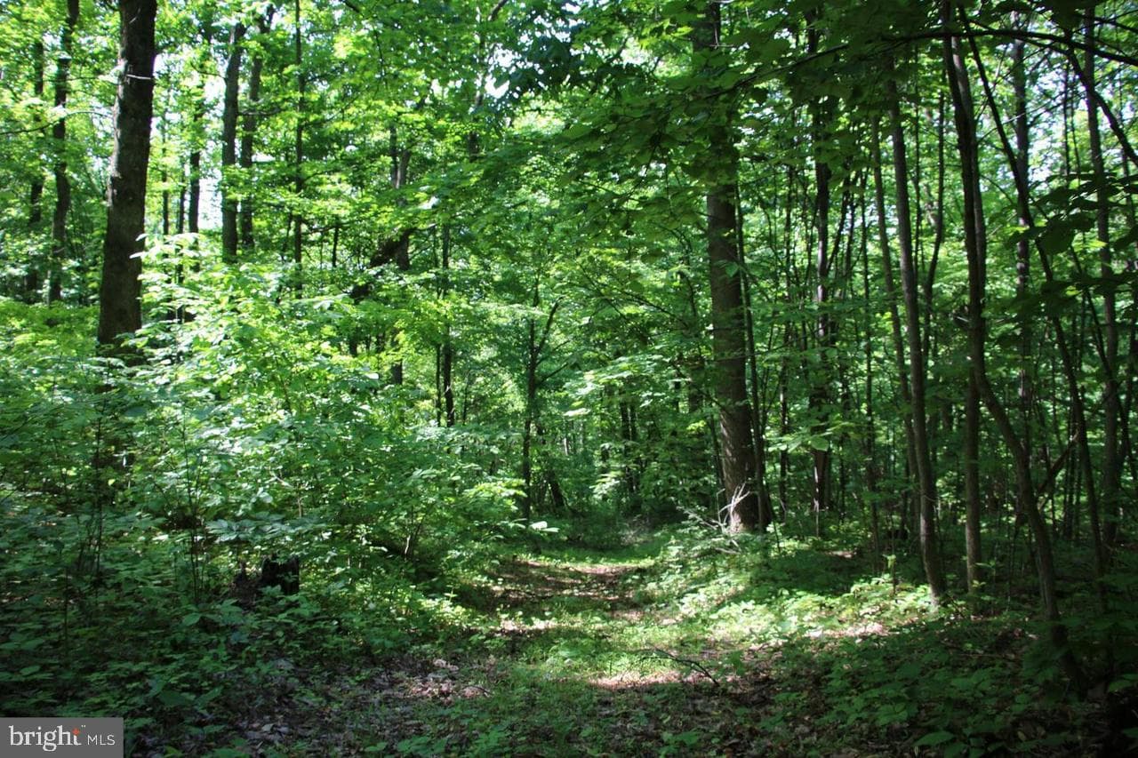 897 Helms Road photo 40