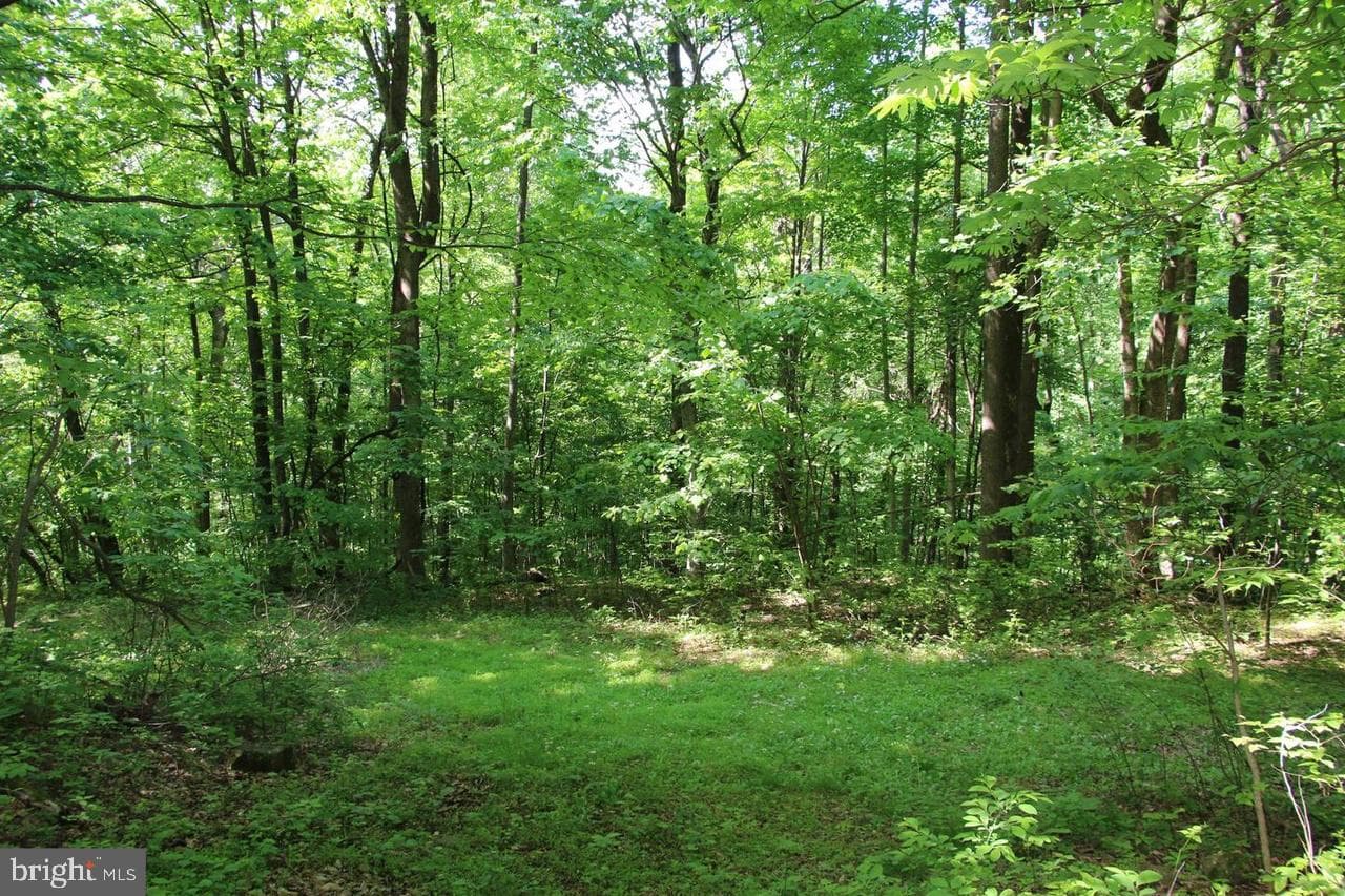 897 Helms Road photo 41