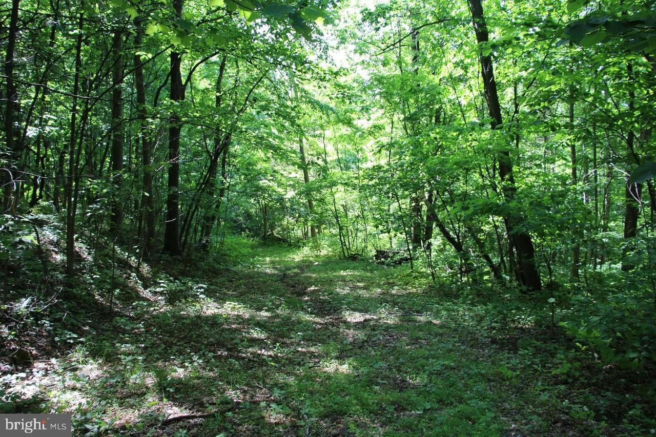 897 Helms Road photo 42