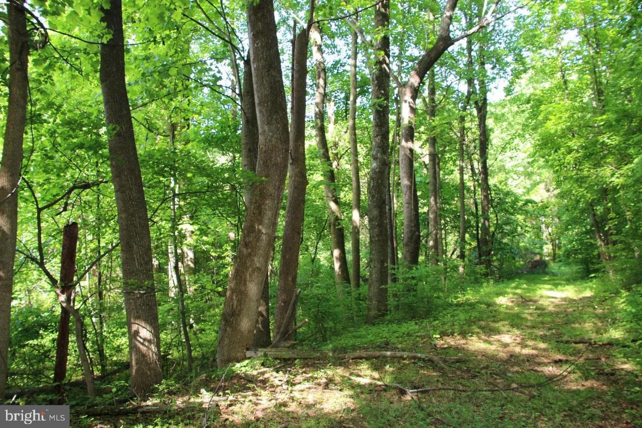 897 Helms Road photo 44