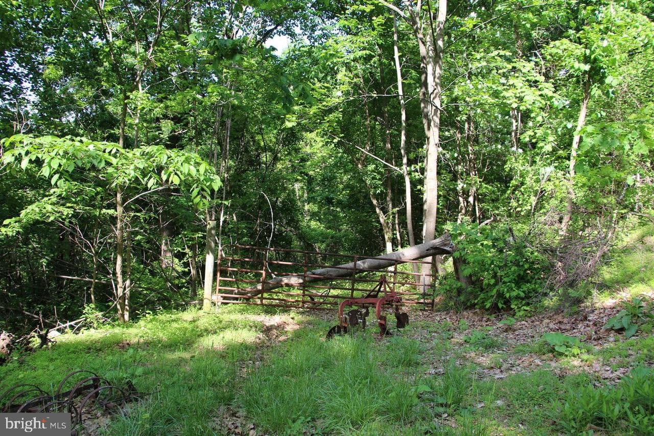 897 Helms Road photo 45