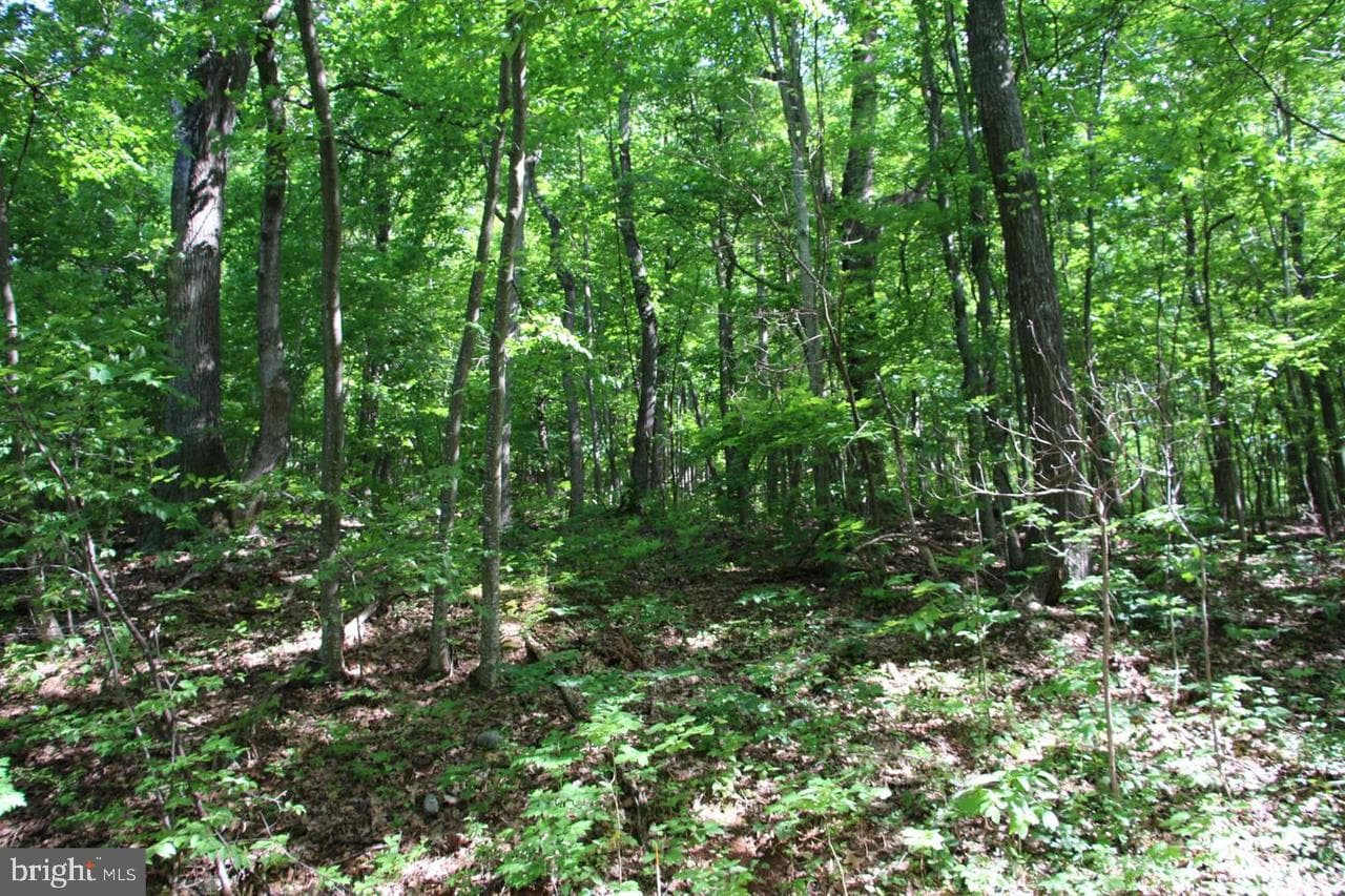 897 Helms Road photo 46