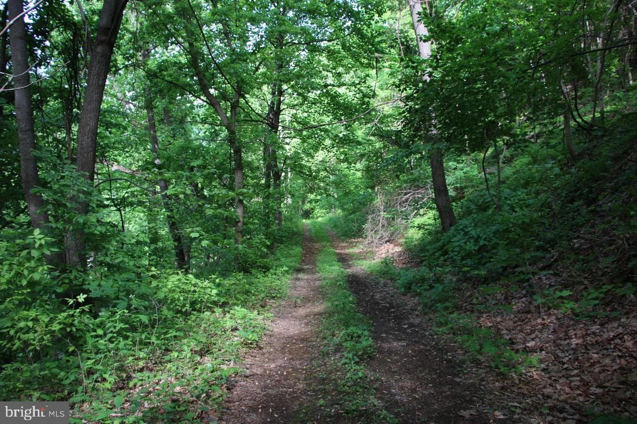 897 Helms Road photo 49
